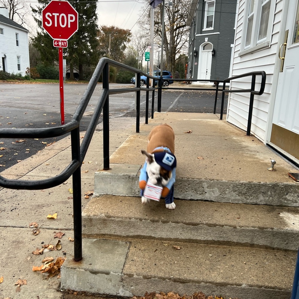 Extra Shipping Label - Picture 7 of 13